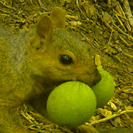 Larson Technology Github - Creative High Resolution Colorful Photos | Free Download