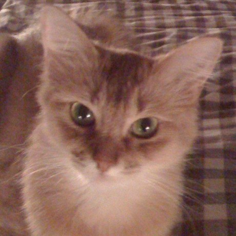 Hajime Hajime Github - Download Incredible Vintage Illustration | HD