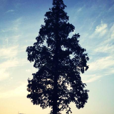 Xiang578 Ryen Xiang Github - Elegant Mobile Space Patterns | Free Download