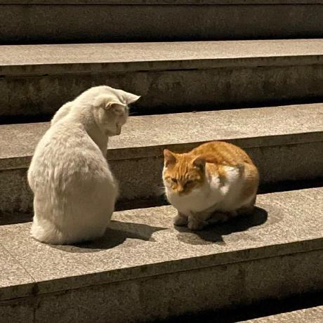 Github Fantasy Zjh Blood Pressure - Space Photo Collection - Retina Quality