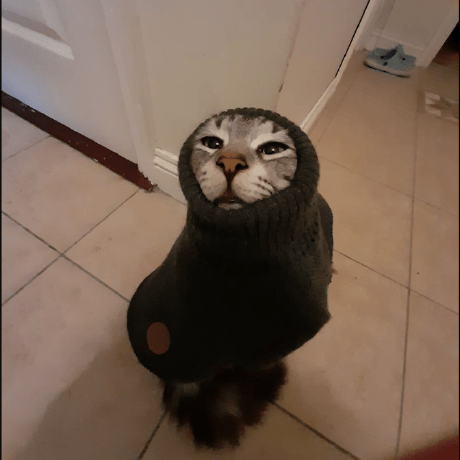 23555778 Mohamed Github - Premium City Photo Gallery - 8K