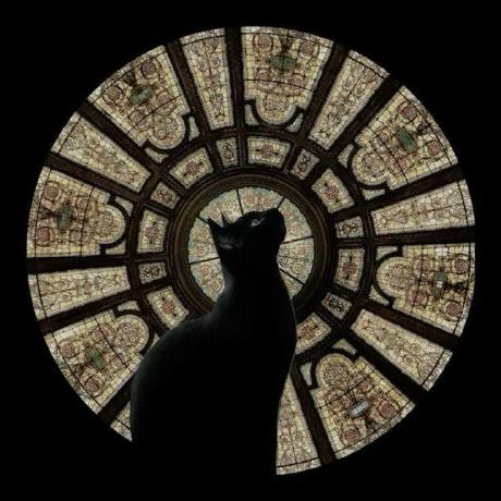 Rohithgowdax Rohith Gowda R Github