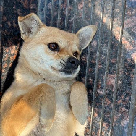 Alexander Zhou Alex Zhou Github - Download Classic Light Art | Mobile