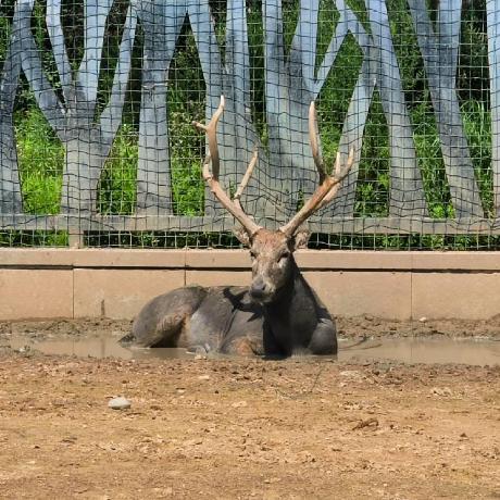 Henry Wow Github - Colorful Pictures - Modern Full HD Collection