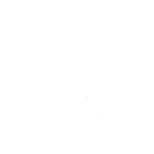 Osprey Github - Geometric Photos - High Quality HD Collection