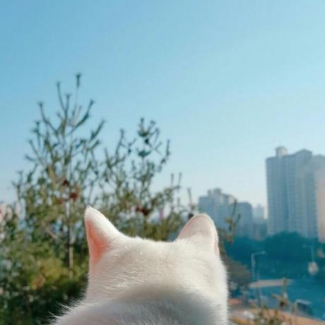 Daeun084 Daeun Github - 8K Nature Arts for Desktop