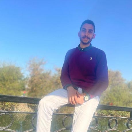 Ghada Emad1 Ghada Emad Github - Premium Colorful Illustration - Retina