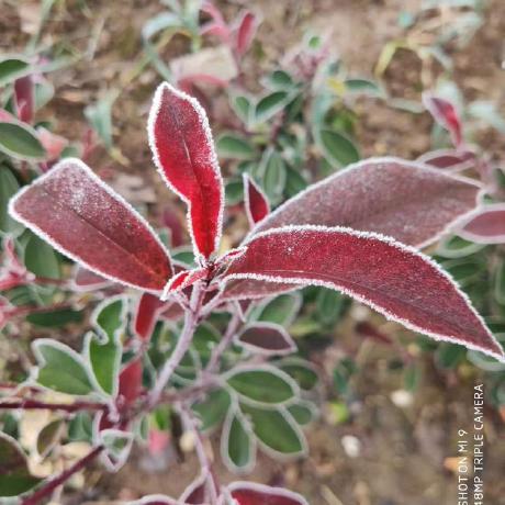 Yangbit666 Colin Github - Ultra HD Geometric Photo - Desktop