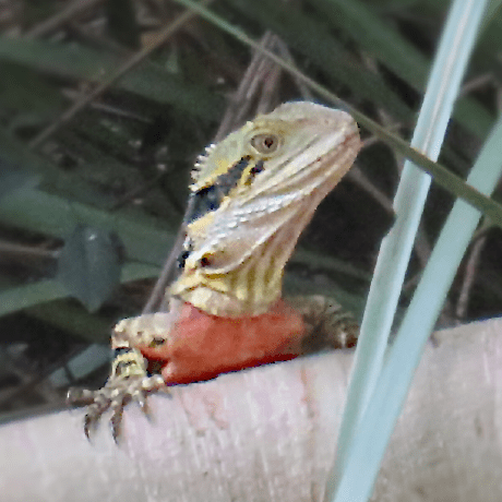 Conal Tuohy Conal Tuohy Github