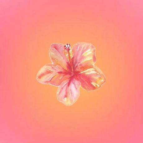 Sofia Perez2293 Github - Best Ocean Photos in Mobile