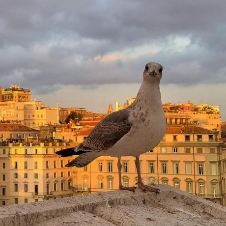 Lcsvoj Home - Best Colorful Pictures in HD