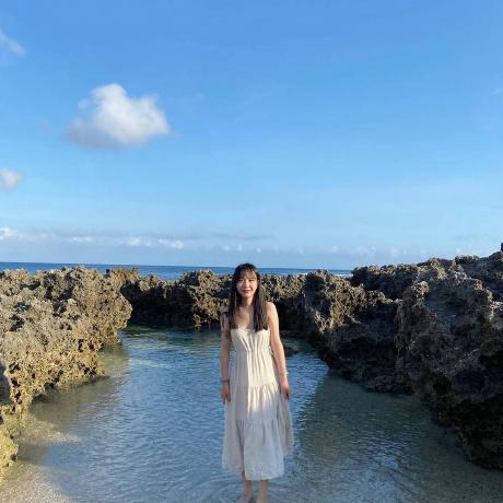 Zoey Ht Github - Download High Quality Landscape Illustration | 8K