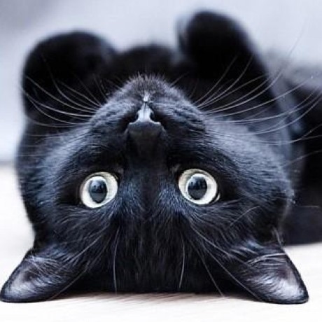 Github Mc Luoluo Luo Resourcepacks - Beautiful Retina City Pictures | Free Download