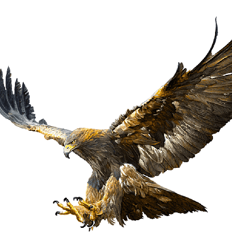 M Prata Github - Ocean Arts - Classic Desktop Collection