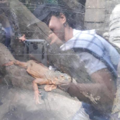 Github Josephenejimenez Cybersecurity Journey A Documentation Of - Premium Gradient Art Gallery - Ultra HD