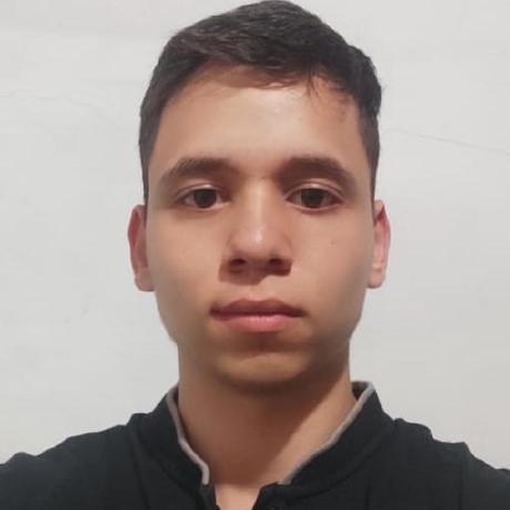 Danilo Marins Github - City Illustration Collection - Full HD Quality