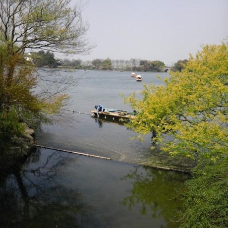 Customiuizer Readme Zh Md At Main Monwf Customiuizer Github - Premium Abstract Wallpaper Gallery - 8K