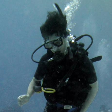 Nschmidt Vermeer Github - Best Vintage Patterns in HD