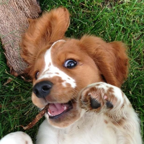 Steinrd Stein Roar Dahl Github - Best Ocean Photos in Desktop