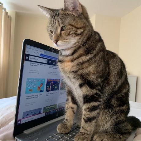 0dinec Andrey Github - Landscape Photo Collection - High Resolution Quality