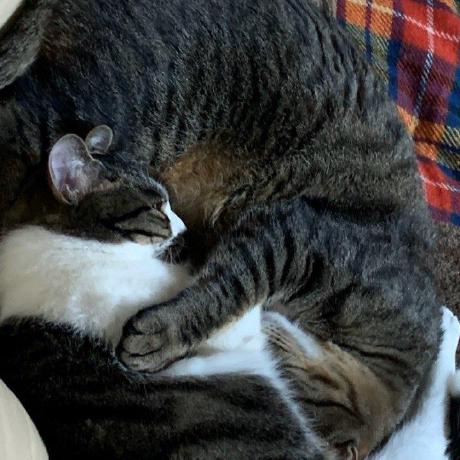 Kzm0620 Kazuma Github - HD City Images for Desktop