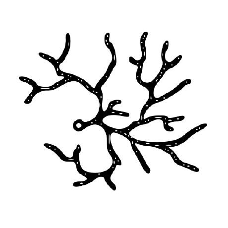 Fungage Github - Colorful Illustrations - Incredible High Resolution Collection