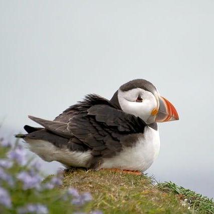 Gwenael Petit Github - Space Picture Collection - Ultra HD Quality