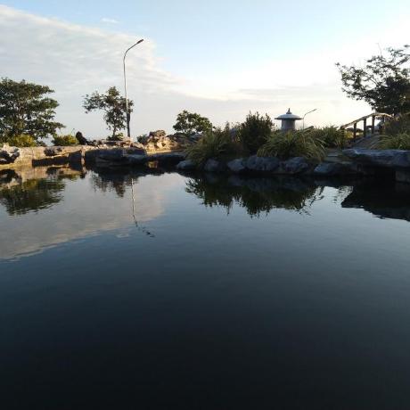 Github Le Trung Dung Le Trung Dung Github Io - Best Nature Photos in HD