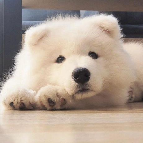 Ittiange Call Me Tian Ge Github - Download Ultra HD Sunset Photo | Ultra HD