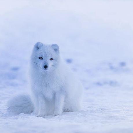 Hkuno9000 Hiroshi Kuno Github - Perfect Full HD Dark Backgrounds | Free Download