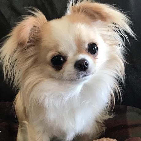 J P Braun Jesse Braun Github - 4K Space Pictures for Desktop