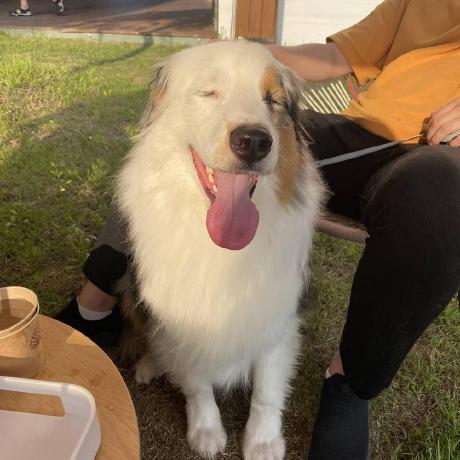 Dusagong Seungjae Yoon Github - Ocean Texture Collection - 8K Quality