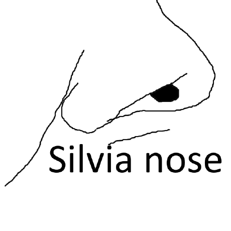 Silviaaaa Silvia Github - Best Nature Designs in High Resolution