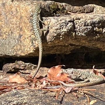 Nspeer12 Nick Speer Github - Minimal Picture Collection - HD Quality