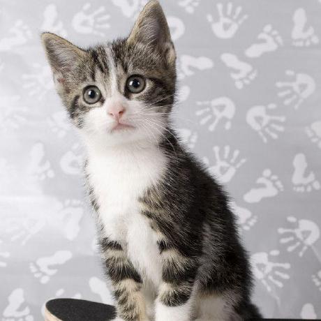 Qqqq414 Double Qi Github - Premium Minimal Background Gallery - High Resolution