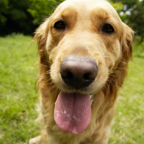 Zhyd1997 Yadong Zhang Github - High Quality Ultra HD Light Patterns | Free Download