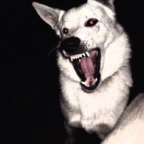 Lincoln Github - Premium Abstract Design Gallery - 4K