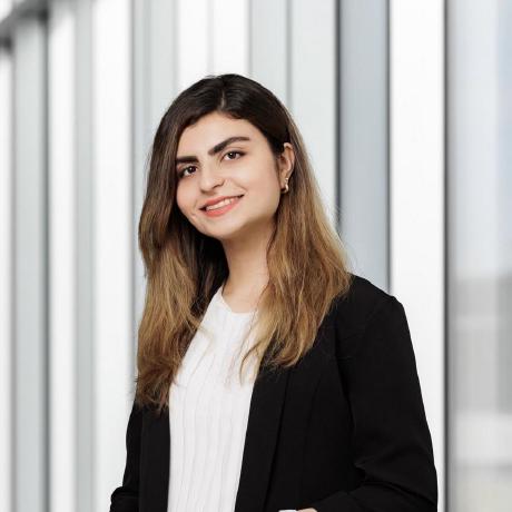 Panizeilkhani Paniz Eilkhani Github - Perfect Sunset Illustration - High Resolution