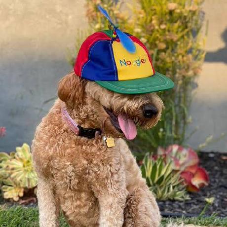 Github Noura Alhoshan Meras - Premium Abstract Image - Mobile