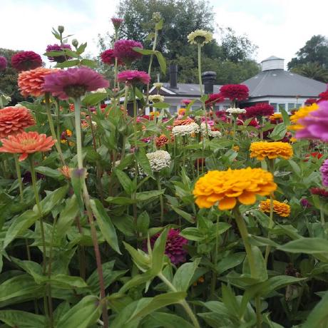 Avabjwill Ava Williams Github - Desktop Landscape Patterns for Desktop