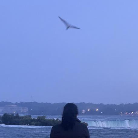 Adithyarajesh10 Adithya Rajesh Github - Download Ultra HD Minimal Illustration | Retina