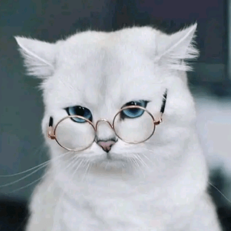 Gabrieldoms Gabriel Doms Github - HD Landscape Backgrounds for Desktop