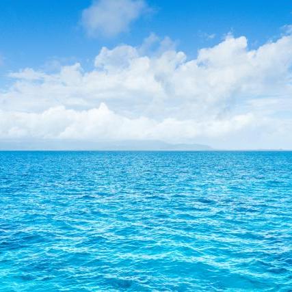 Ryo1223 Ryo Github - Nature Texture Collection - 8K Quality