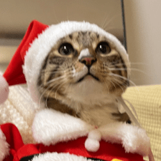 Loopy Ux Github - Mountain Images - Classic Full HD Collection