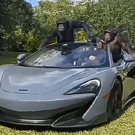 Anttti Antti Mattila Github - Best Nature Arts in 8K