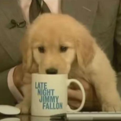 Github Askanton71 Echo - Download Professional Gradient Picture | Full HD