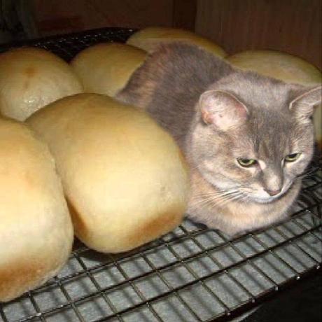 Github Kitrr1x Mindustry Addon Working - 8K Sunset Photos for Desktop