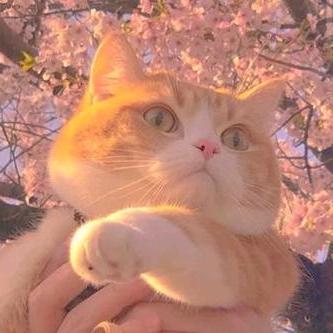 Masmeralda Alina Malina Github - Download High Quality Light Illustration | Mobile