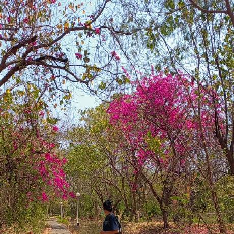 Cknishan Nishan Chakma Github - Full HD Landscape Images for Desktop