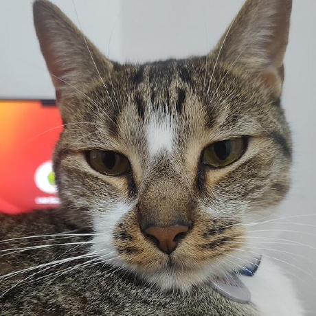 Ma Ha22 Maha Nubi Github - Nature Textures - Ultra HD Desktop Collection